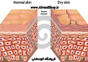 آرایش پوست خشک