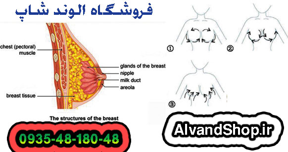 بزرگ کننده سینه و لیفت کننده پستان
